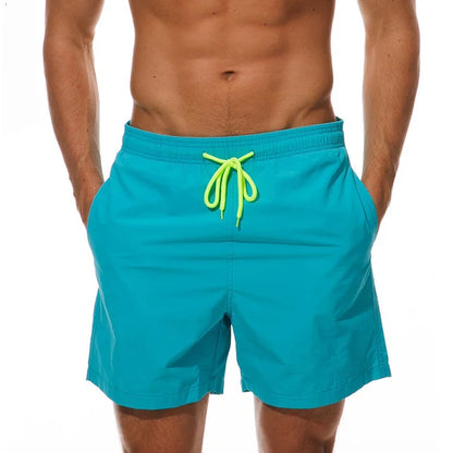 Men's Swimwear Swim Shorts
